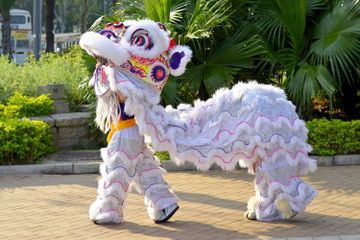 Apa Itu Barongsai?