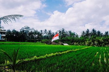 Bangsa Indonesia memiliki beberapa tujuan nasional yang hendak dicapai melalui pembangunan nasional.