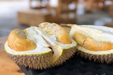 5 Cara Mengatasi Mual dan Pusing Akibat Makan Durian Berlebihan