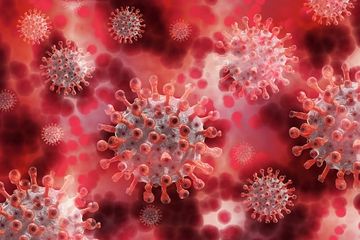 Virus adalah agen infeksi mikroskopis yang hanya dapat bereplikasi di dalam sel inang yang hidup.