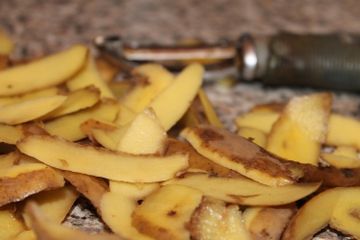 Macam-Macam Sampah Dapur yang Dapat Dijadikan Kompos