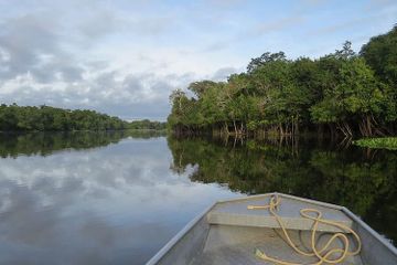 Jadi Sungai Terlebar di Dunia, Seberapa Lebar Sungai Amazon?