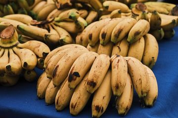 Bukan Hanya Pisang, 5 Buah Ini Juga Membuat Kenyang