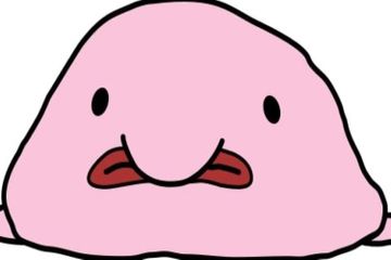 Blobfish dijuluki sebagai hewan terjelek di dunia.