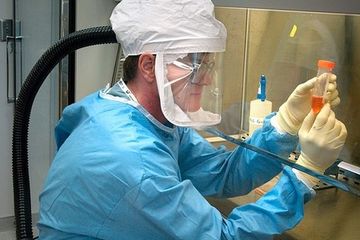 Biologi Kelas X: Peranan Organisme Prokariotik dalam Rekayasa Genetika