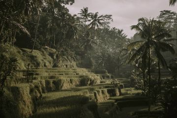 Tujuan dan Keuntungan Penggunaan Terasering di Daerah Pegunungan