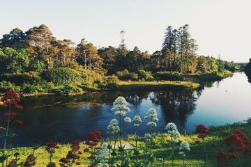 Biosfer: Pengertian dan Jenis