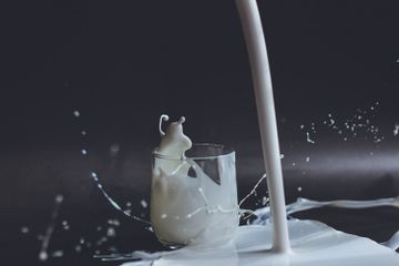 Mengapa Susu Dapat Menjadi Asam?