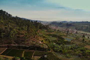 Pengertian Sumber Daya Alam serta Nilai yang Dimilikinya, Materi Geografi Kelas XI