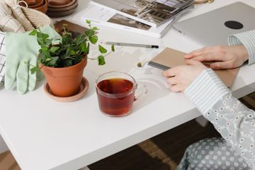 5 Dampak Negatif Minum Teh Secara Berlebihan