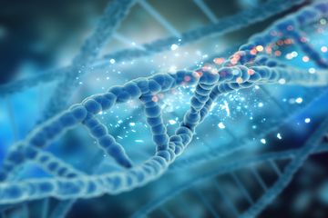 3 Jenis RNA, Materi Biologi Kelas XII Kurikulum Merdeka