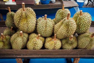 Kenapa Kulit Buah Durian Berduri?