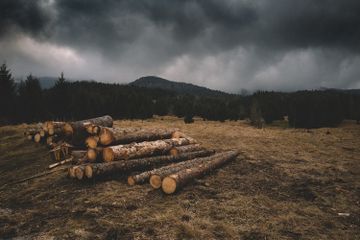 Pengertian dan Penyebab Deforestasi