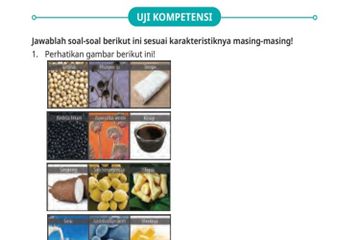 Soal Uji Kompetensi yang berkaitan dengan inovasi bioteknologi.