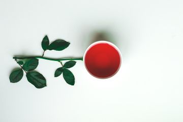 Seni konseptual lebih mengedepankan ide atau gagasan dalam karya yang dibuat.