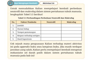 Jawab Soal Aktivitas 5.6 Perbedaan Neutrofil dan Makrofag, Materi Biologi Kelas XI Kurikulum Merdeka