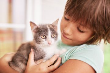 Apa Penyebab Kucing Bersin?