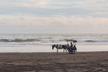 Daftar 40 Kosakata dalam Bahasa Inggris yang Berkaitan dengan Pantai