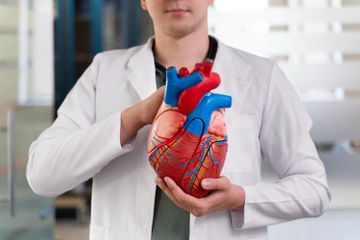Jenis Otot Manusia dan Fungsinya, Materi Biologi Kelas XI Kurikulum Merdeka