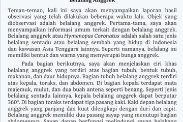 Jawab Soal Kegiatan 2 Analisis Laporan Hasil Observasi Teks 'Belalang Anggrek', Bahasa Indonesia Kelas X