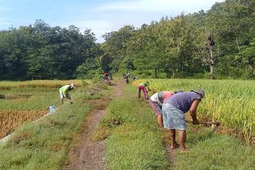 5 Jenis Gotong Royong yang Ada di Lingkungan Masyarakat, Materi PPKn Kelas X