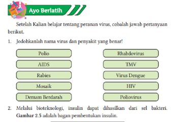 Jawab Soal Ayo Berlatih pada Bab 2: 'Virus dan Peranannya', IPA Kelas X