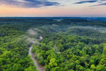 Bioma hutan tropis ialah jenis hutan yang terdapat pada daerah tropis dan dekat dengan garis khatulistiwa.