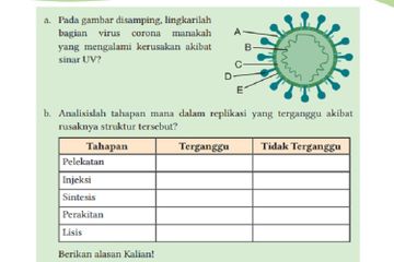 (tangkapan layar) Terdapat soal B Latihan Soal Terpadu pada Soal 1 di halaman 206-207 pada buku'IPA' kelas X Kurikulum Merdeka.