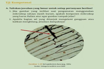 Kunci Jawaban Soal Uji Kompetensi Bab 1: Menjelajah Sel, Materi Biologi Kelas XI Kurikulum Merdeka