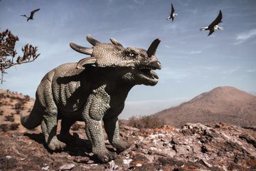 Seperti Apa Suara Dinosaurus?