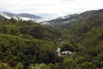 Taman Nasional Kerinci Seblat Semua Halaman Bobogridid