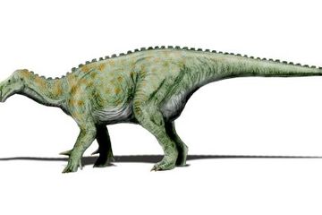 500+ Gambar Dinosaurus Hitam Putih Paling Keren 500+ Gambar Dinosaurus Hitam Putih Paling Keren