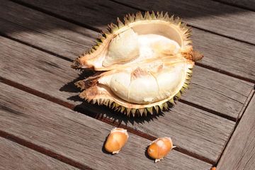 Unduh 62 Koleksi Gambar Durian Dan Manfaatnya Terbaru Gratis HD
