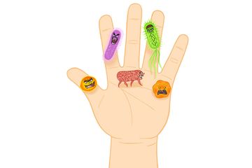 Kenali 4 Tempat Di Mal Yang Menjadi Sarang Kuman Bobo