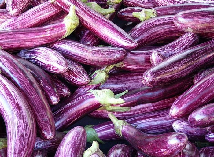 Buah terung berwarna ungu dan bentuknya oval memanjang, kenapa disebut eggplant?