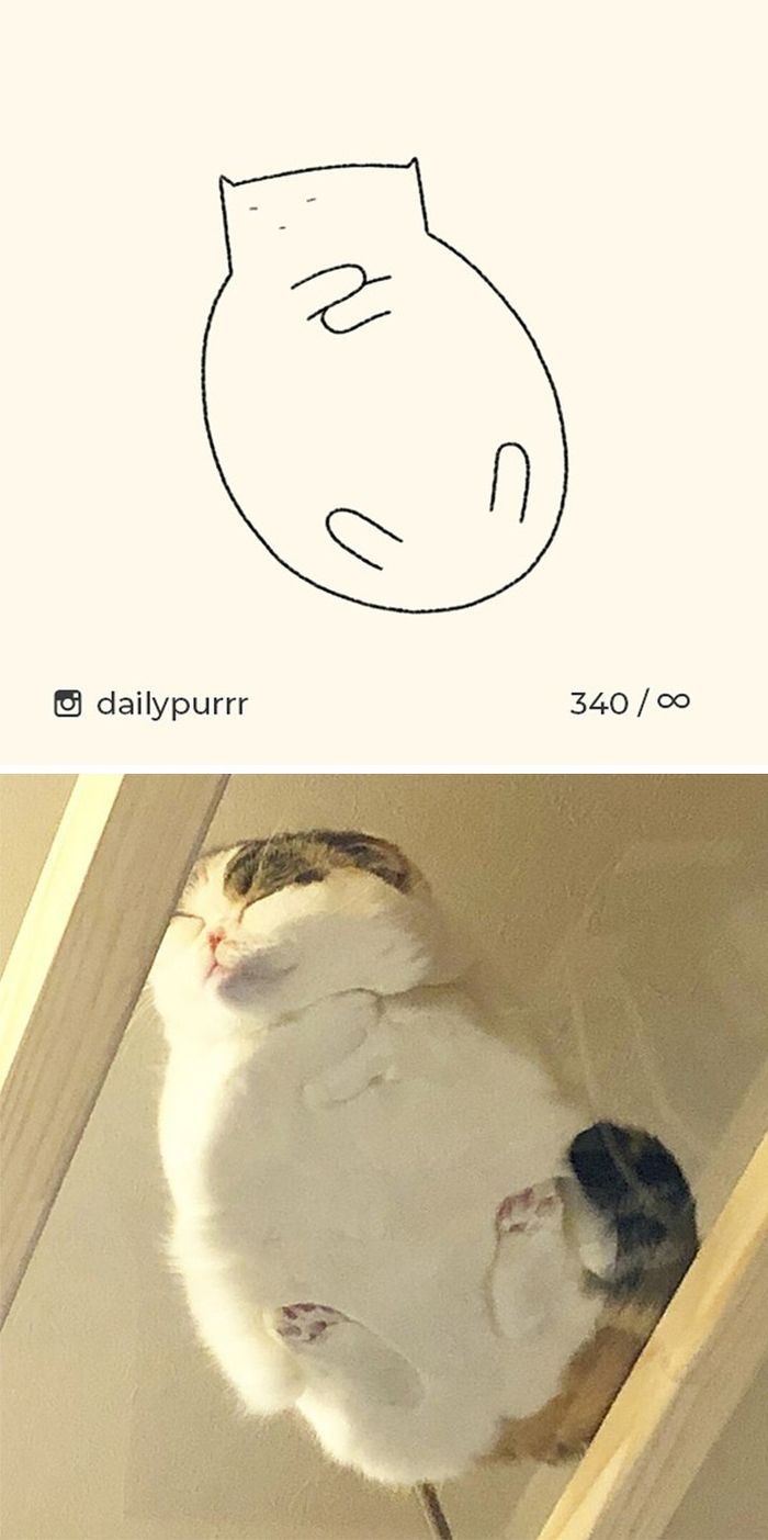 Meski Digambar Dengan Sederhana Kucing Kucing Ini Tetap