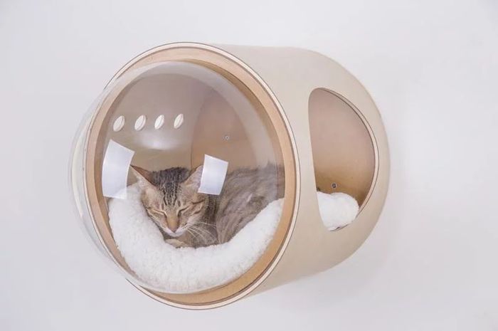 Wah Tempat Tidur Kucing Ini Membuat Kucing Kita Seperti