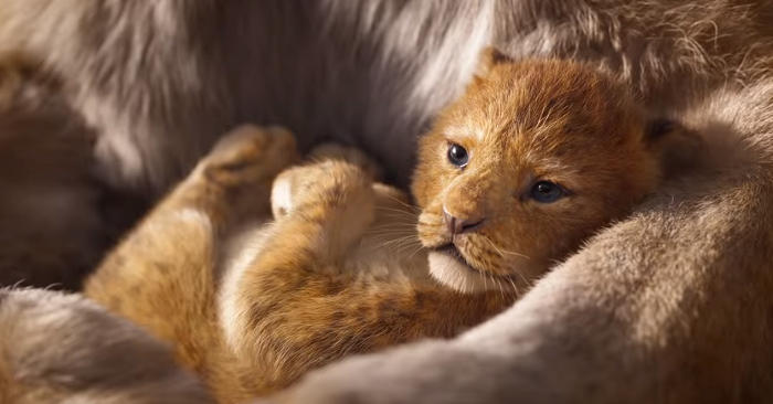 Remake film Lion King versi live-action