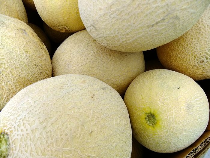 Buah melon. 