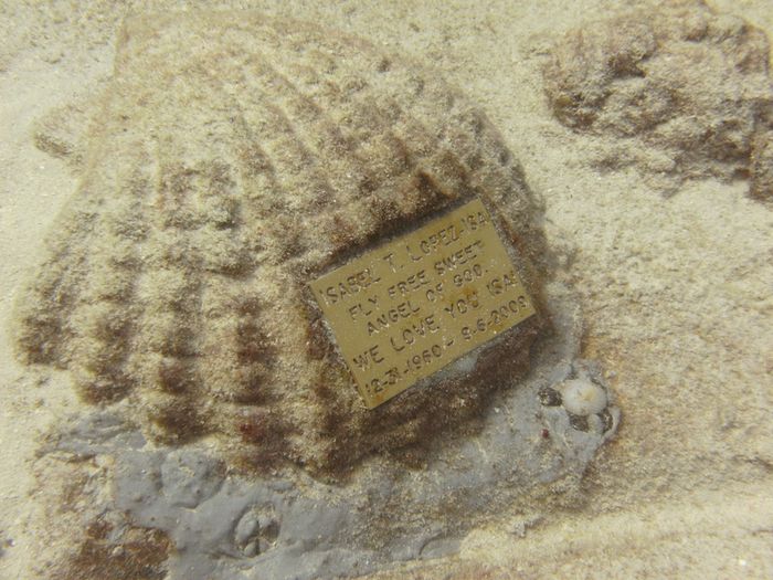Salah satu contoh makam di bawah laut di <a href='https://travel.tribunnews.com/tag/neptune-memorial-reef' title='Neptune Memorial Reef'>Neptune Memorial Reef</a>