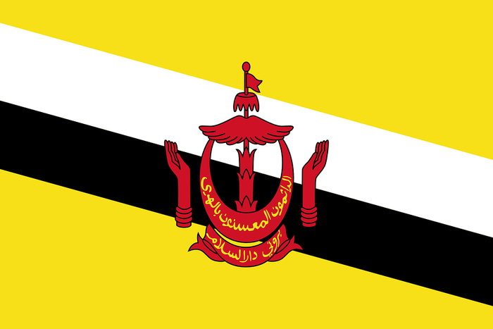 Ibukota negara Brunei Darussalam adalah Bandar Seri Begawan.