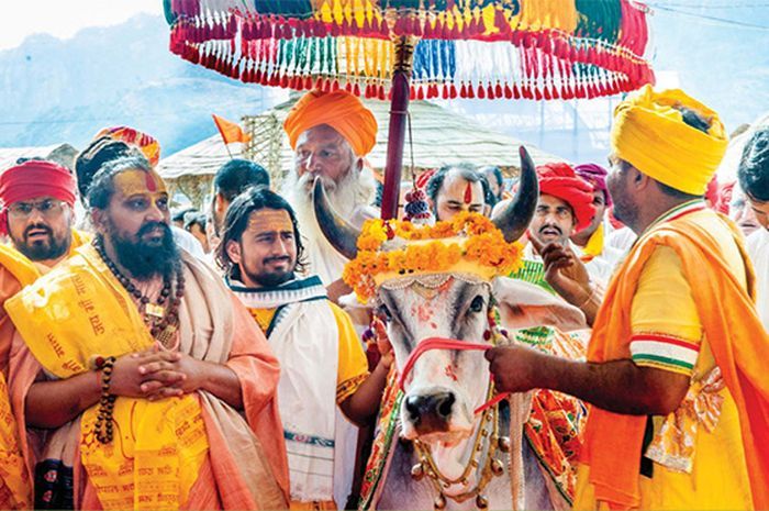 Sapi yang dihias saat perayaan keagamaan di India