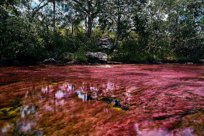 Ada Yang Berwarna Merah Darah Ini 4 Danau Sungai Dan Kolam Unik Di Dunia Semua Halaman Bobo