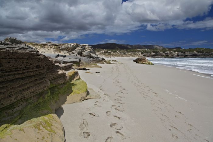 Gansbaai, Afrika Selatan