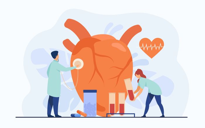 Heart illustration. Angkak can also nourish the heart