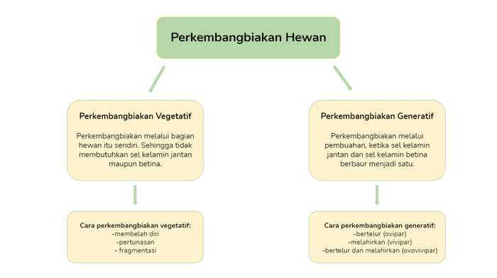 Jelaskan cara perkembangbiakan generatif pada hewan