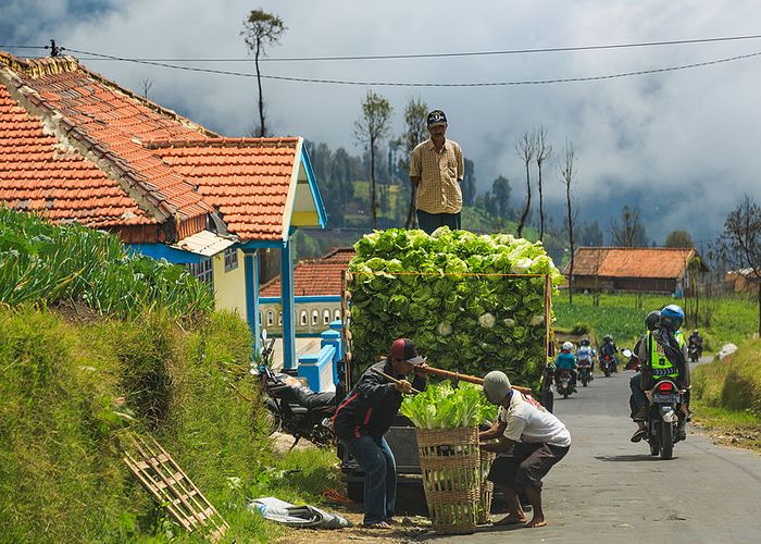 Sebutkan manfaat keberagaman karakteristik masyarakat di indonesia