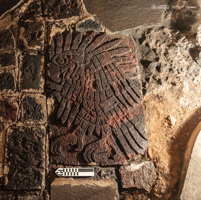 Ukiran elang berusia 600 tahun yang ditemukan di kuil kuno Aztec