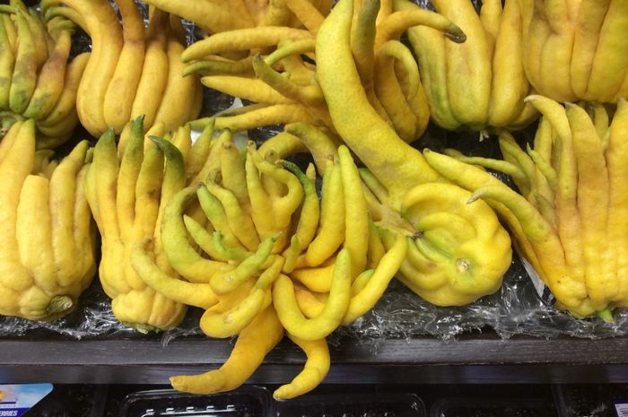 Ada mitos yang mengatakan, semakin banyak jari pada buah tangan buddha, maka pemilik pohon akan semakin beruntung.