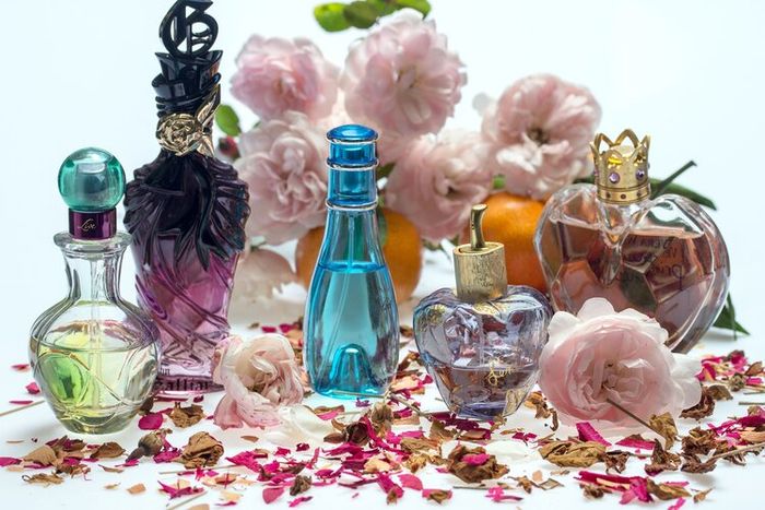Pada abad ke-16, Bangsa Eropa mulai mengembangkan parfum.